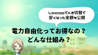 電力自由化 Looopでんき